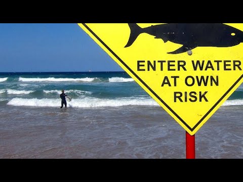 Surfer an australischer Westkste von Haien angegri ...