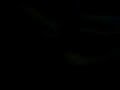 roberto andres 403 vomitado por guagua