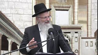 הלכות שמיטה בשנה השישית | הרב שמואל אליהו | קול צופייך לפרשת ראה תשפ”א