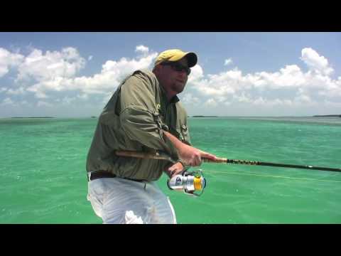 tarpon fishing