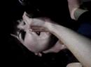 Dolores O\