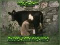 videos de ALBENA-2008