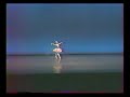 Raymonda - III act variation