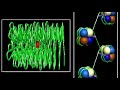 Chromosome to DNA