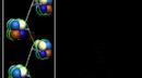Chromosome to DNA