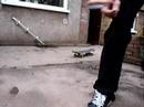 uk-skate-premonition-trailer.html
