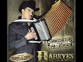 LOS DAREYES TUBA Y ACORDEON