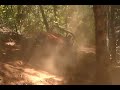 YJ buggy