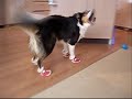 Snow Boots