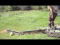 Summer jibbing and skimming