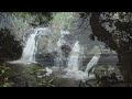 Jim Kimo West-'Ulupalakua Sunset