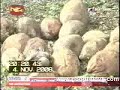 Wanni Operation 04th November, 2008  ????? ????????