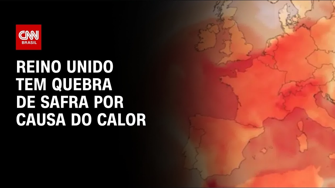 Com calor intenso, Reino Unido deve ter pior safra desde 1984 | CNN AGRO NEWS