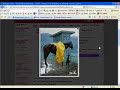 Elegant Horse Pictures - Our Most Popular