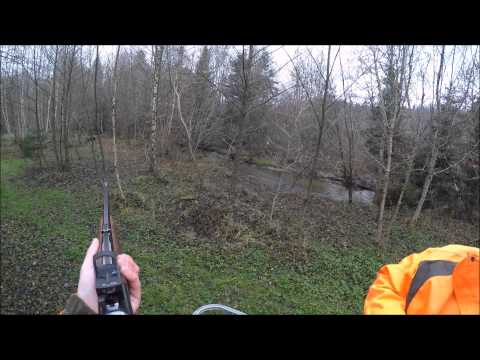 chasse - Bonjour, voici une vidéo de chasse pour cette saison 2014 , c'est ma première année de chasse (accompagné) avec mes premiers loupés =) !