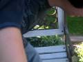 videos de Ladder Run In