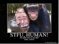 Thumbnail #3