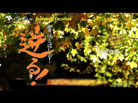 動画