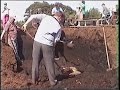 cutting turf the old way by hand cutting turf the old way by hand