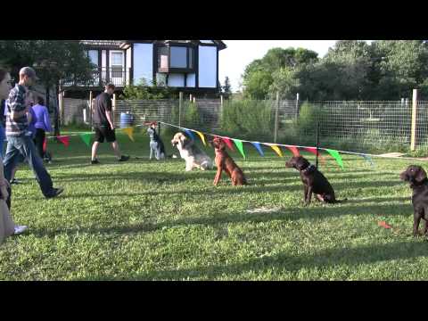 See video