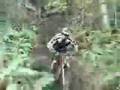 Sick-downhill-freest