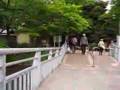 Inokashira Park