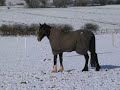 Zefiro Snow 1 Zefiro Snow 1