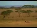 VIDEO PER TE QESHUR
