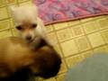 videos de When I get home :)