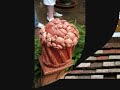 en haute savoie, dans une ancienne ferme, une famille a cr�� des jardins d'une beaut� �mouvante