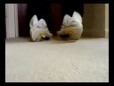 Nike Air Max Ltd White Well Worn Nike Air Max Ltd White Well Worn