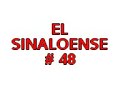 corrida de baca
