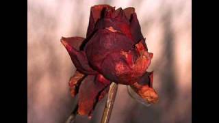 Ana Carolina - Que Será