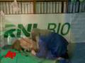 YouTube - Next Best Thing? Clone of Man's Best Friend