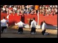Recortadores La Puebla de Montalbán 2011