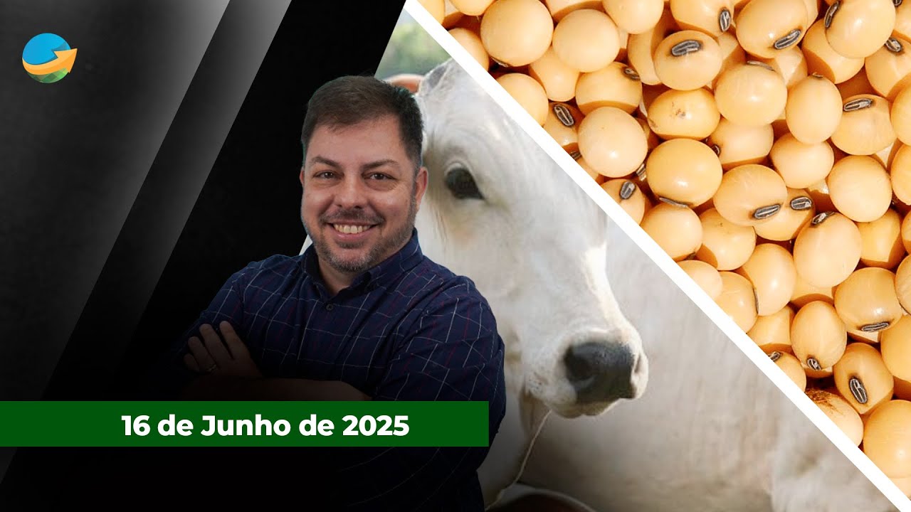 Preços da carne bovina no atacado seguem firmes e dão sustentação à arroba do boi; Óleo sobe mais...