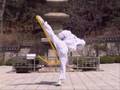 Tae-Kwon-Do-By-Well