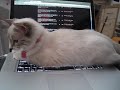 Paprika will not let me on the computer