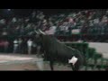Bugarra (Toros)