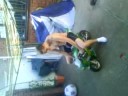 Tony on his moto lol