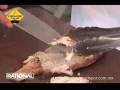 videos de Como cocinar pescado frito sin grasa - cocina saludable