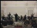 Onorio Zaralli plays Vivaldi Flute Concerto in G Major - 2