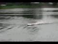 EP Mia Scale Hydroplane RC Racing Boat - (No Foul Lang.)