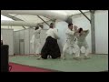 Demostracion Aikido Aranjuez, Byakko dojo