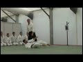 Demostracion Aikido Aranjuez, Byakko dojo