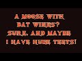 weird travels hunt the jersey devil