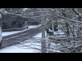 Now Thats What I Call Snow January 2010 - Music Sacrificial Bonfire by XTC