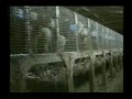 Fur Farming Expose~ 毛皮養殖場の真実~