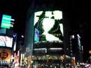 Crossing Shibuya