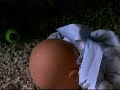 UB Funkey Awsome Adventures (Episode 1) UB Funkey Awsome Adventures (Episode 1)